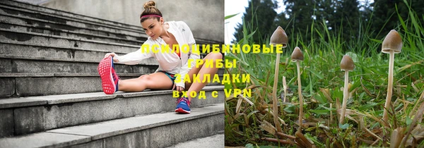 Альфа ПВП Абдулино